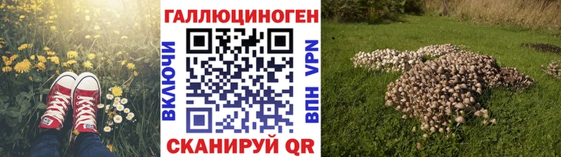Купить где  Старица  Галлюциногенные грибы MAGIC MUSHROOMS 